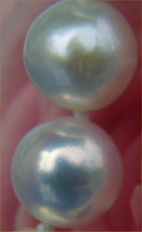 Süßwasser Perlen